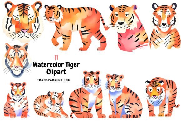 Download Watercolor Tiger Clipart PNG - Tiger Collection