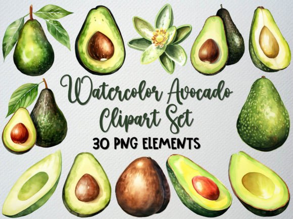 Download Watercolor Avocado Clipart Set, 30 PNG - Png Collection